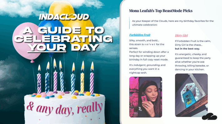 Mona’s Birthday Goes Beastmode | A Guide To Celebrating Any Day 2 3 Activities To Celebrate Your Day